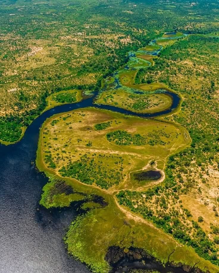Okavango Delta
