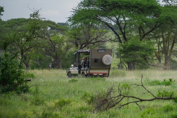 Safari vehicle